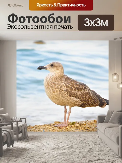 Фотообои Птица