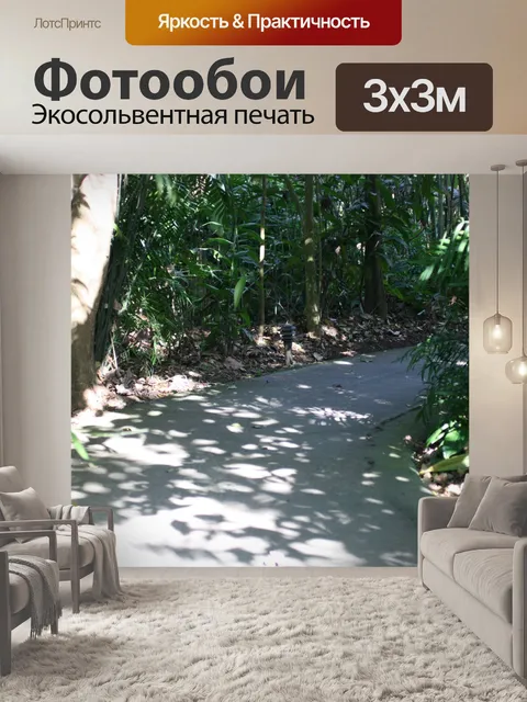Фотообои Коста-Рика Trail