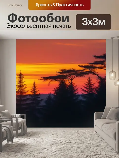Фотообои птицы, которые наблюдают за закатом над лесом