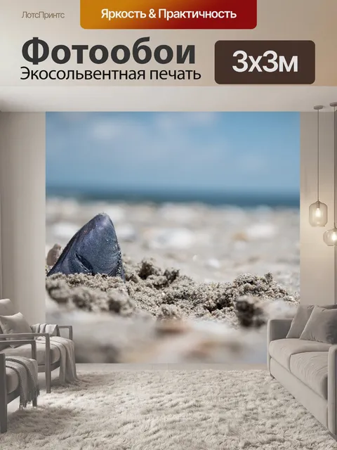 Фотообои Морская ракушка