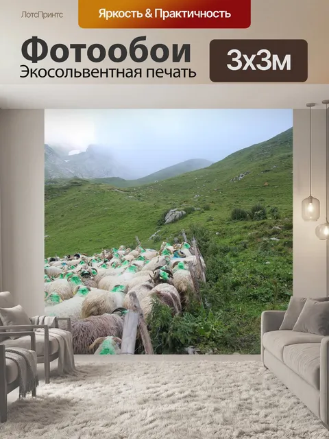 Фотообои Одним из преимуществ