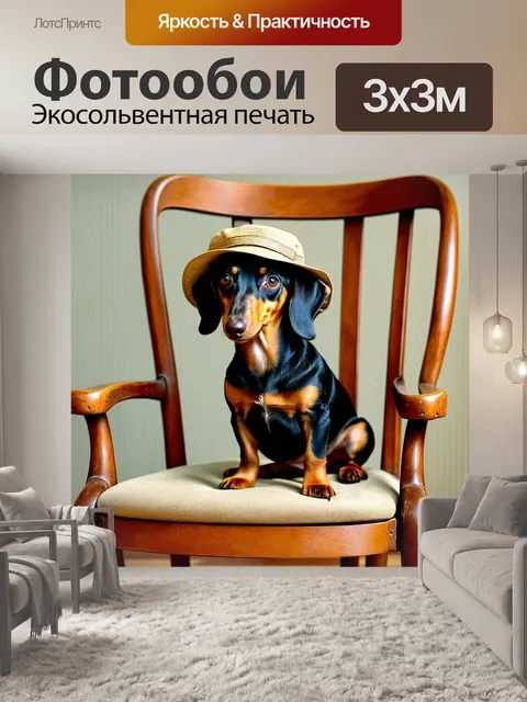 Фотообои такса с оригинальной шляпой, сидящая на деревянном стуле в доме, выполненном в стиле прованс