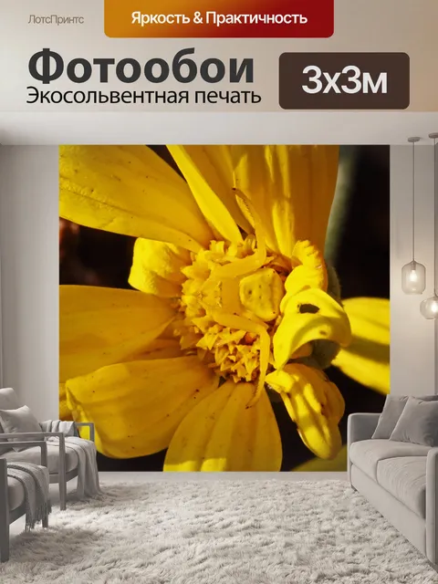 Фотообои желтый краб цветок паук смешивание