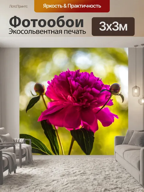 Фотообои Цветы
