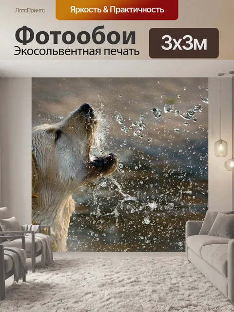 Фотообои Собаки