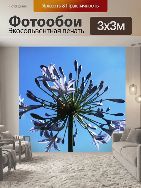 Фотообои Агапантус на фоне неба
