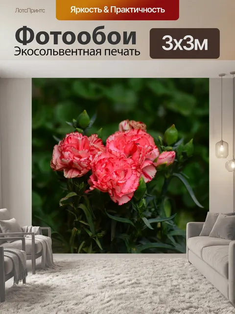 Фотообои Сад