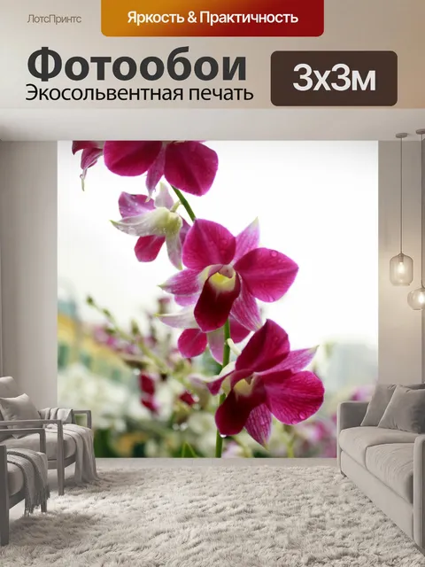 Фотообои Красный цветок орхидеи цветок