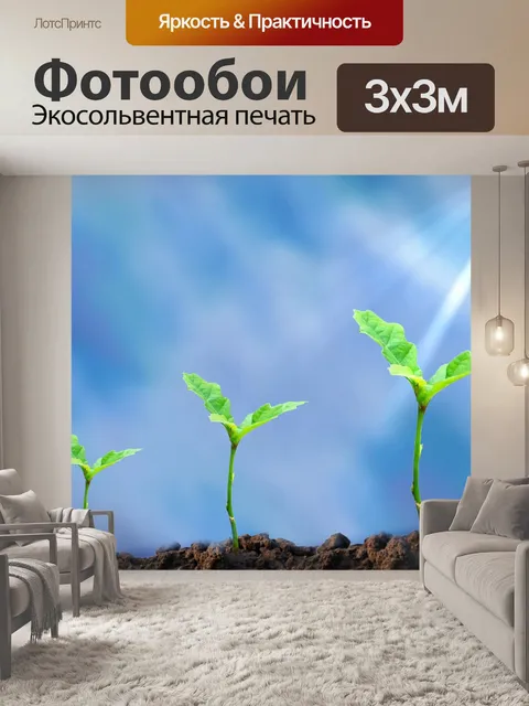 Фотообои Природный заповедник