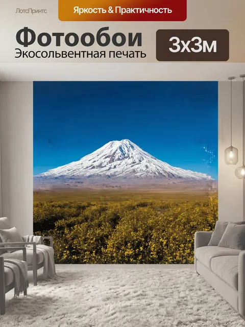 Фотообои **графический арарат в стиле минимализм**