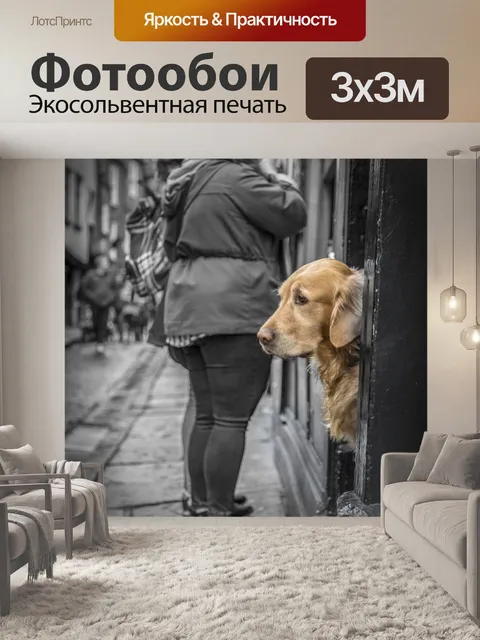 Фотообои В одиночестве