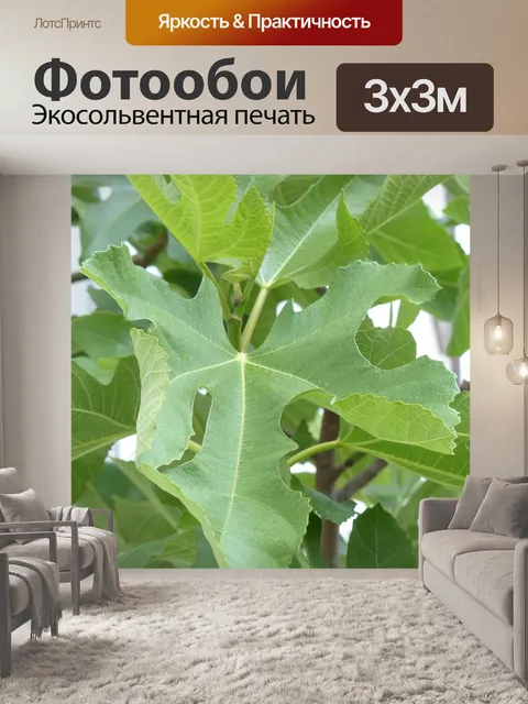 Фотообои Фиговый лист