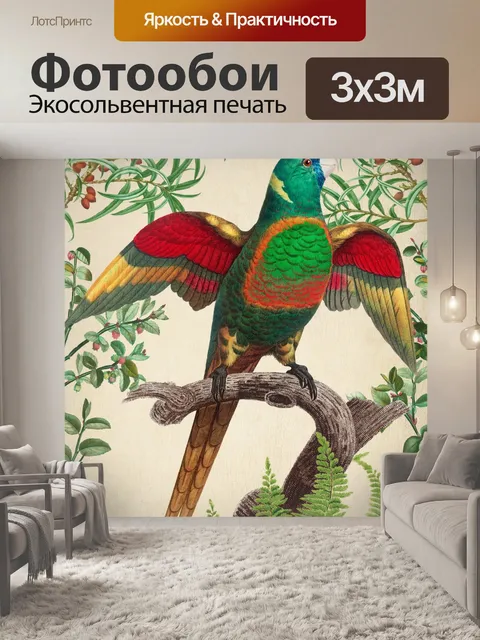 Фотообои Попугай старинный художественный плакат