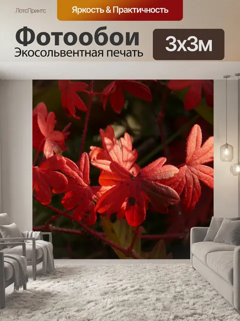 Фотообои Кроваво-красный журавль