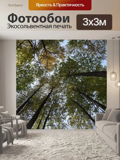 Фотообои Лес