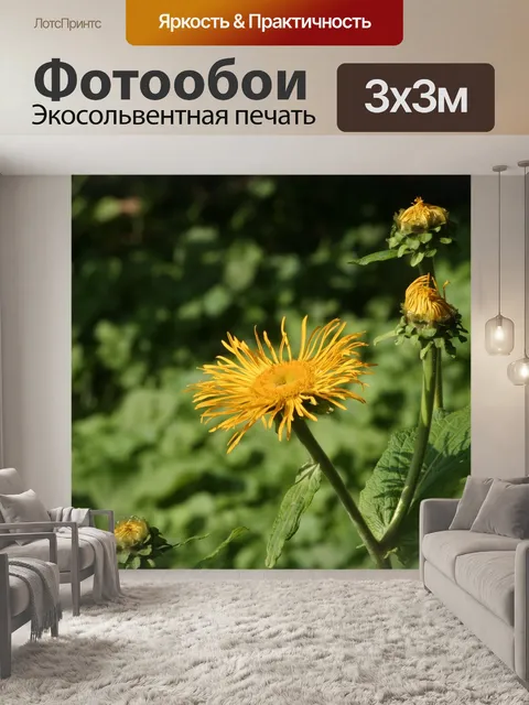 Фотообои Желтый
