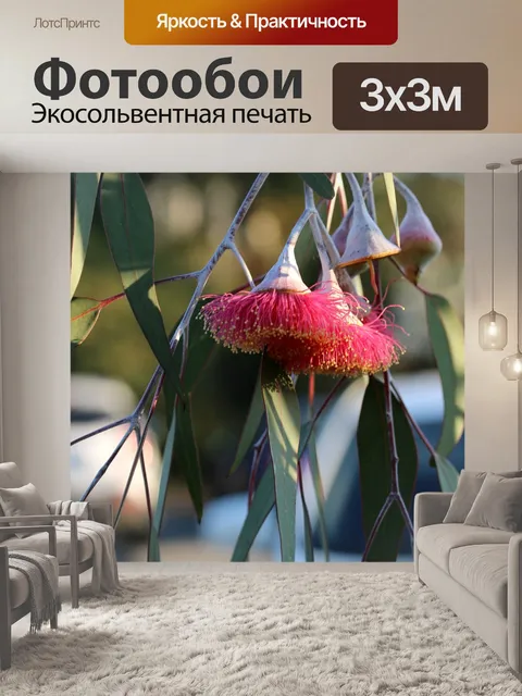 Фотообои Эвкалипт