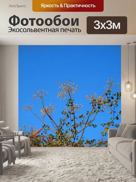 Фотообои Сирень ягоды против голубого неба
