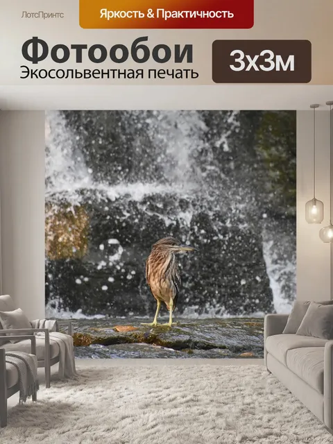 Фотообои Серая цапля