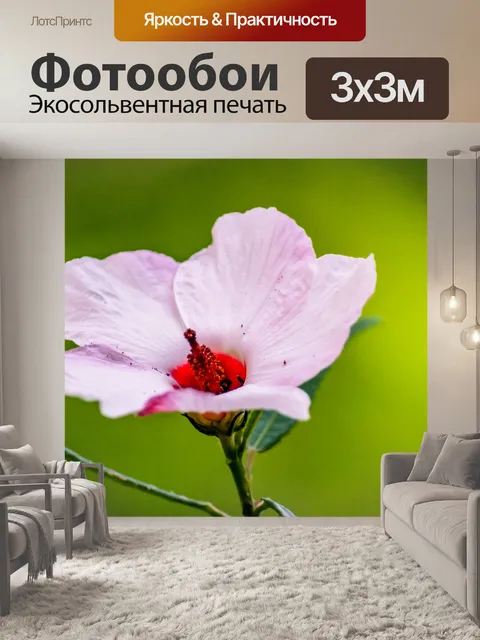 Фотообои Экзотический розовый цветок