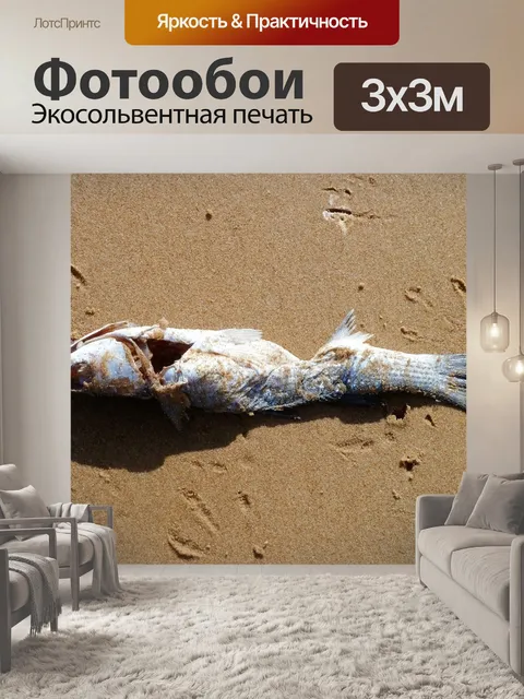 Фотообои Животное