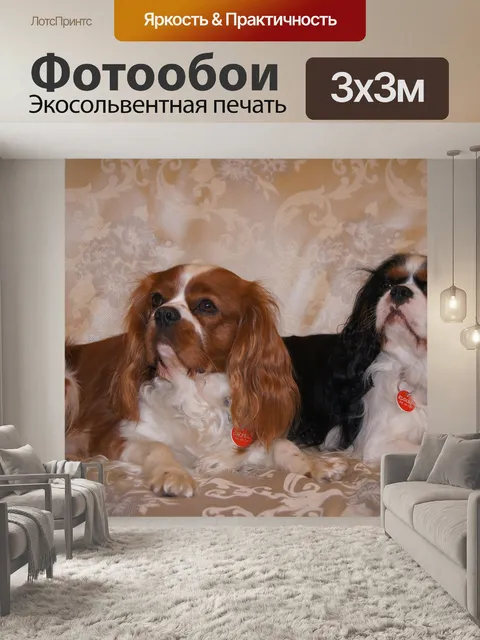 Фотообои Кавалер