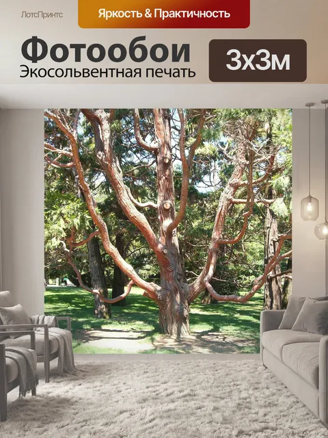 Фотообои Дерево