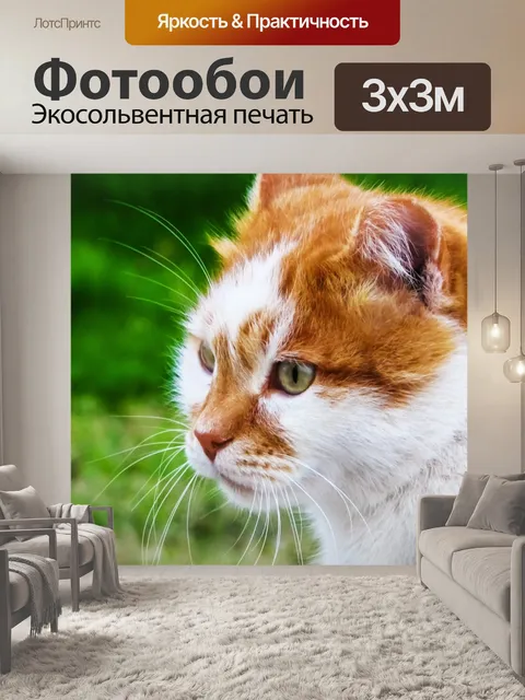 Фотообои Кошка