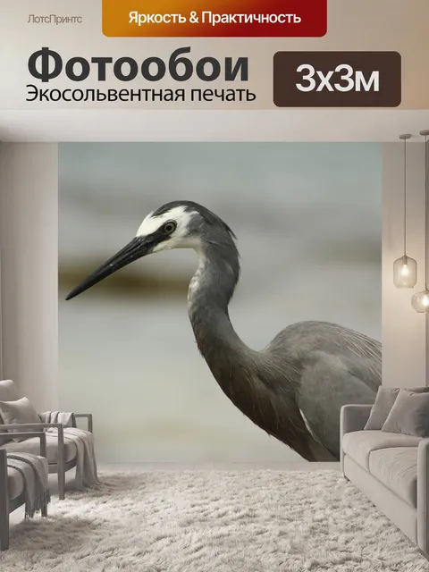 Фотообои Белая цапля