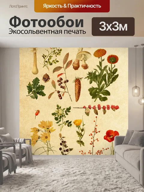 Фотообои Старинные ботанические растения эфемеры
