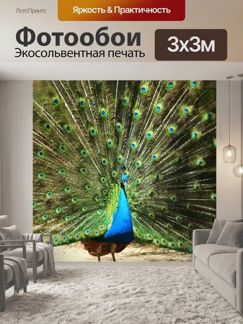 Фотообои Павлин