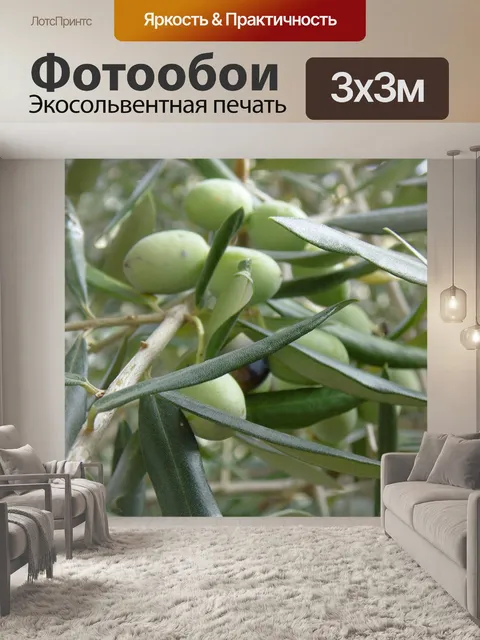 Фотообои Оливковое дерево