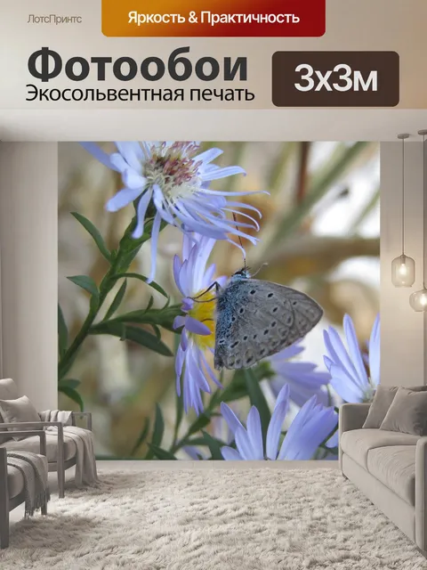 Фотообои Лазурное