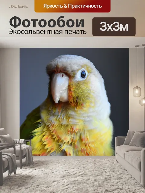 Фотообои Животное