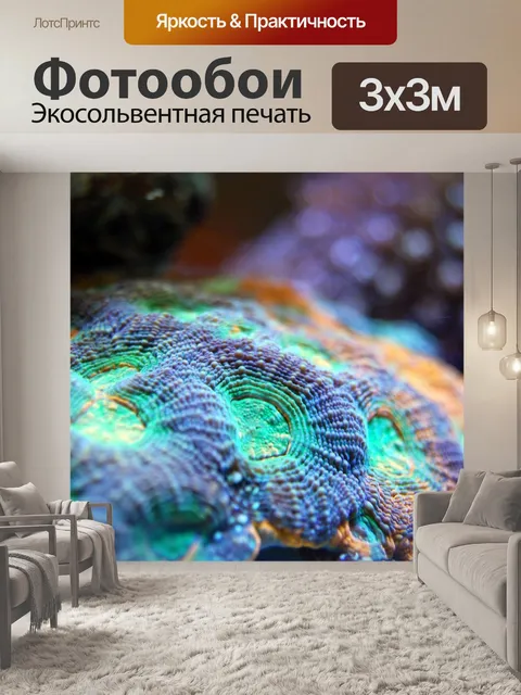 Фотообои Коралл