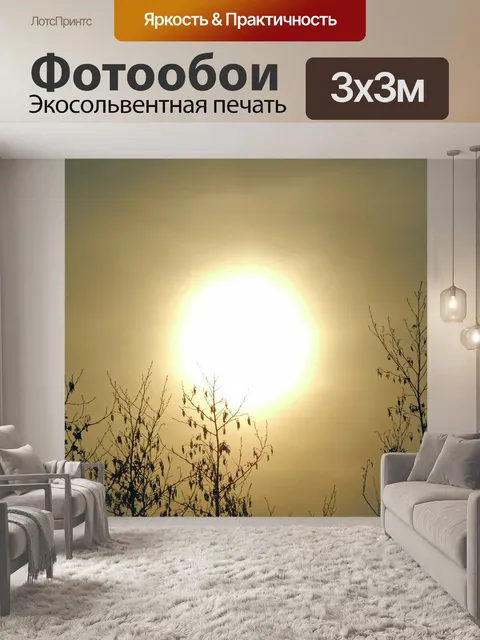 Фотообои Утренняя дымка