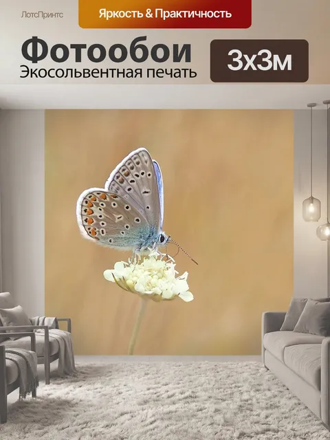 Фотообои Бабочка