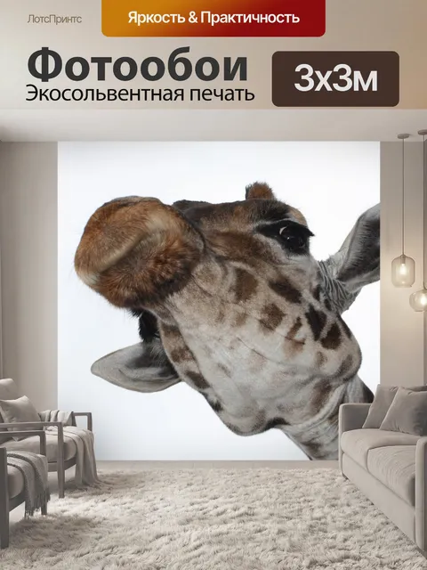 Фотообои Жирафа