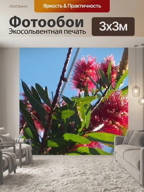 Фотообои Бутылки Кисть дерево в цветке