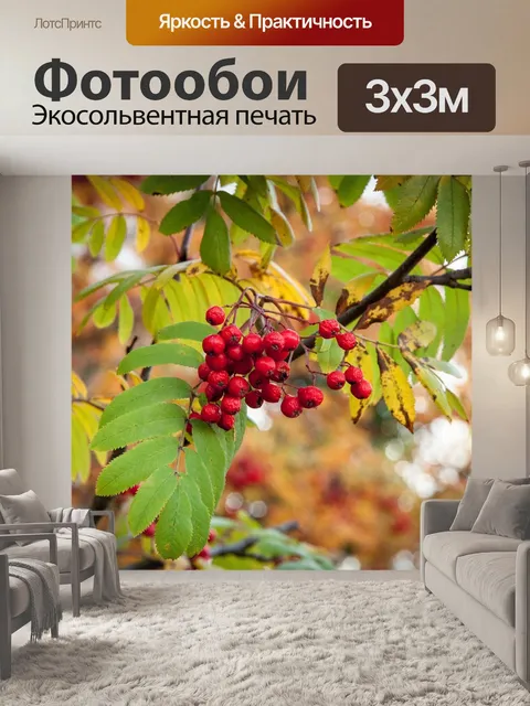 Фотообои Рябина