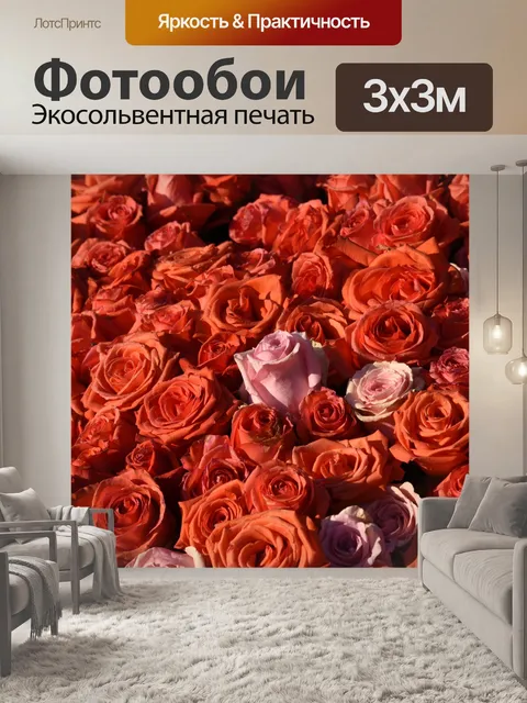 Фотообои Один Розовые розы