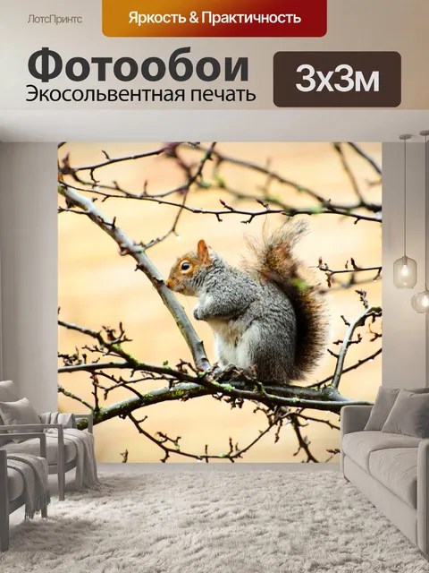 Фотообои Белка сидит на ветке