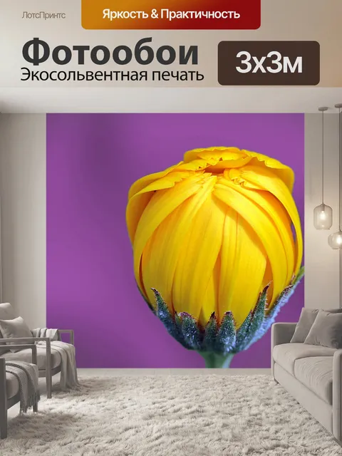 Фотообои Маргарита Цветочный фиолетовый фон