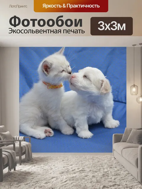 Фотообои Собака