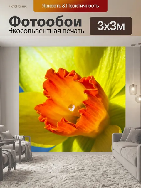 Фотообои Крупным планом жонкиль