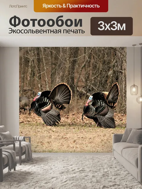 Фотообои Два Тома в Вудс