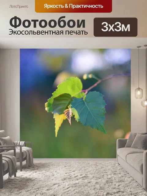 Фотообои Берёза