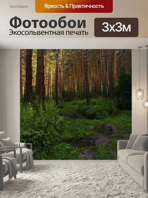 Фотообои Дорога