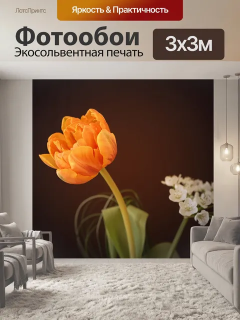 Фотообои Цветок