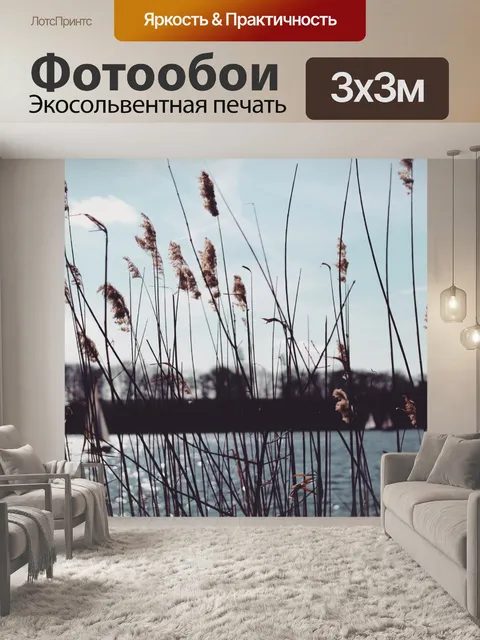 Фотообои приозерный